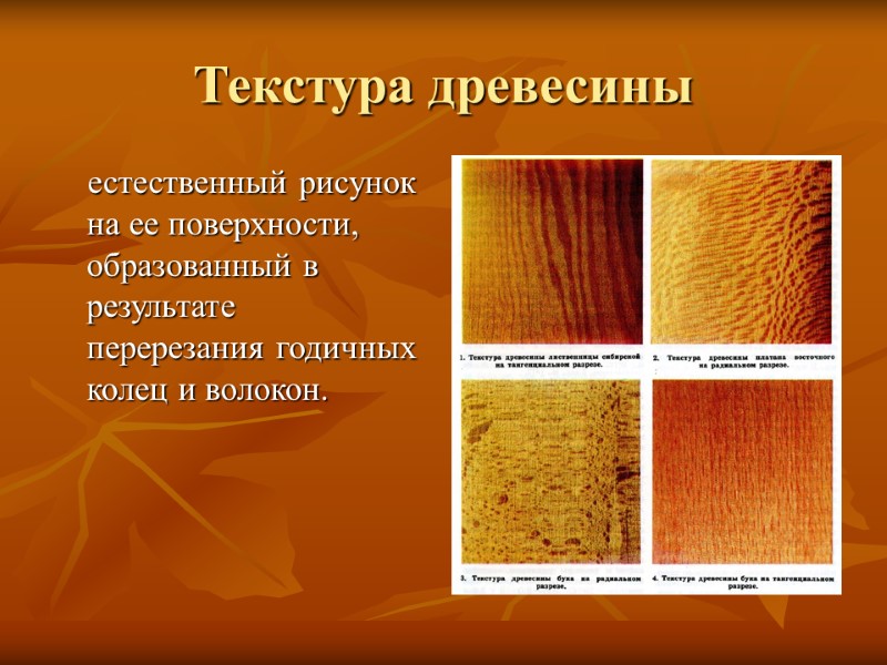 Текстура древесины     естественный рисунок на ее поверхности, образованный в результате